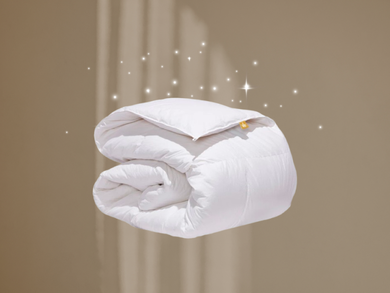 bedding duvet blanket pillow set